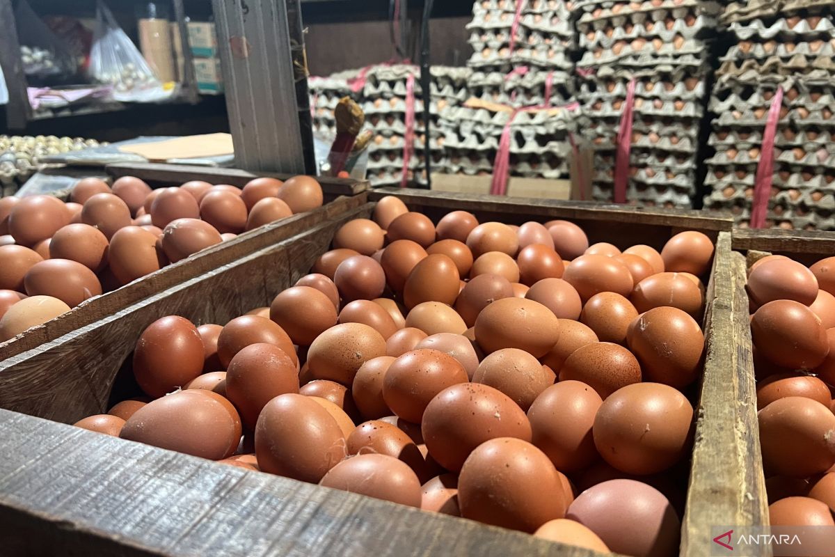 Harga Telur Naik ke Rp25.000/kg, Bawang Merah Turun, Cabai Rawit Masih Mahal