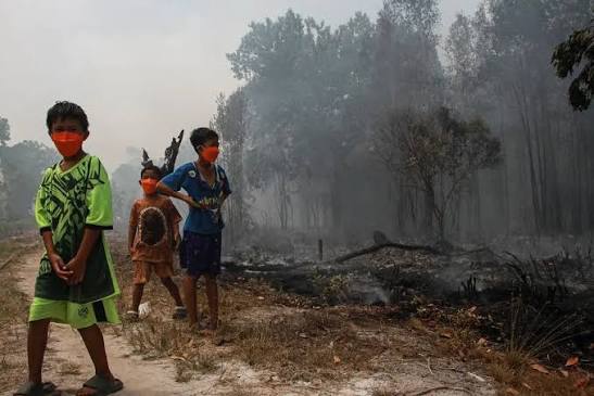 Kabut Asap Lintas Batas Memburuk, 591 Sekolah di Sarawak Malaysia Ditutup